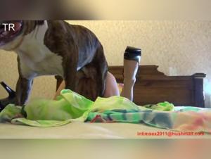 Canine Embrace with a Sticky Ending