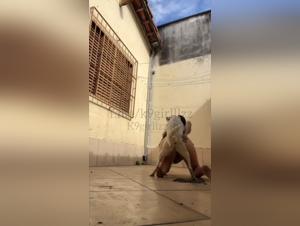 Desire canino: explore lo intimo con ninas y perros
