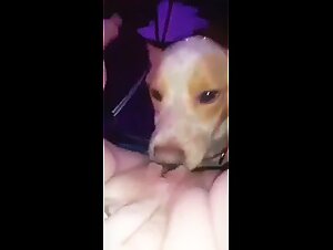 Lick: A beastly and intense encounter