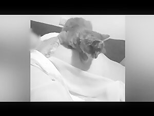 Femme et chatte s'amusant ensemble
