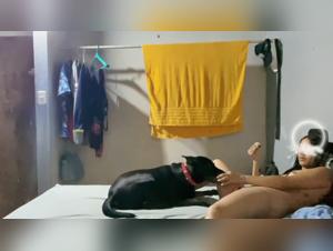 Désir bestial : Une femme sous le joug de son chien