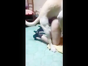 Fantastisches Video