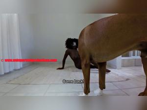uncontrollable trans-firmity, fusion with the dog