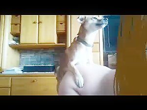 Naughty meeting with a dog and a milf
