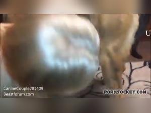 Taboos Broken: Intense Bestiality with Casting Mature Woman 3