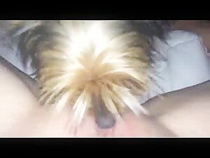 Excited by my dog's tongue