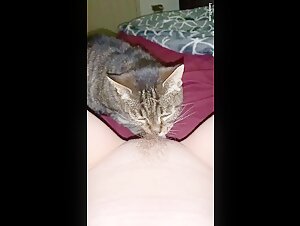 Kittys Leidenschaft fur ihren Hundegefahrten