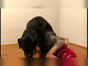 Délices Interdits: L'Animalité Prime dans le Porno