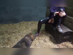 Delirio bestial: Yasmin entre dos mundos