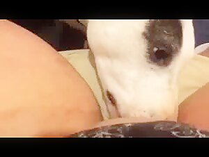 Intimate Moment with a Dog
