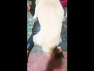 Exclusive Bestiality Video - Watch Now