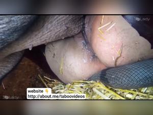 Sexual Shipwreck: A Slut and her Insatiable Battler