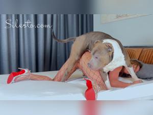 Animal exploitation without limits: Veronica Silesto and the dog devour a slut