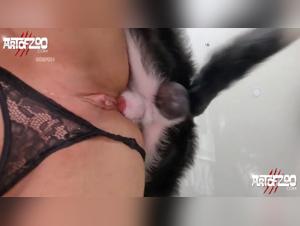 Dogsex Climax: Compilacion indecente