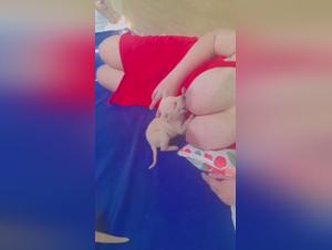 Size Matters & Nipples: A Dog Nursing Her Puppy Like a Human