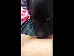 Zoo sex xxx with a young slut succubus whore