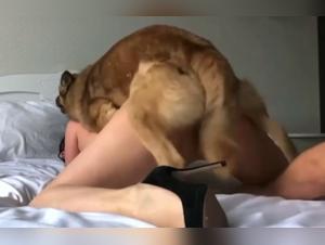 Delizie proibite: il mondo segreto di annodarsi con le donne cani