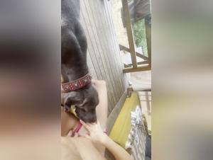 Kutyanyal4: Unlimited Canine Domination