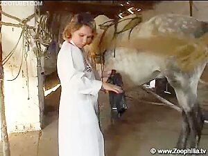 Woman and Horse: a Forbidden Meeting