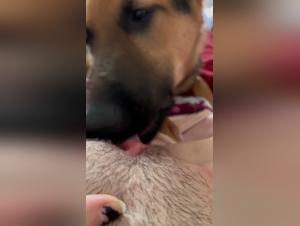 Brutal Zoophilia: Dog Devours Woman
