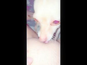 Dog Lick 1