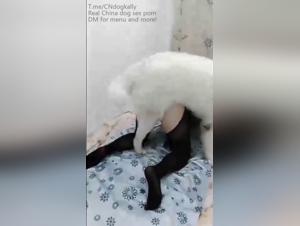 Bestialité Asiatique : Débauche Canine Inoubliable