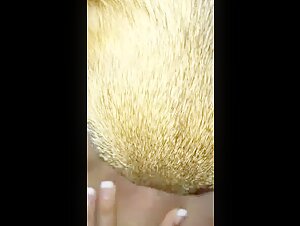 Cane e uomo: un incontro proibito