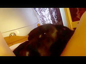 Una cagnolina sottomessa viene leccata da un cane