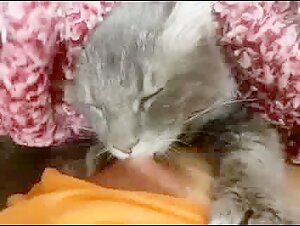 Kitty's Intimate Moment