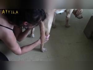 Delicias de animales: La experiencia indecente de Jesse - 07