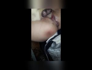 Bestialita: i video XXX sui cani che stai cercando