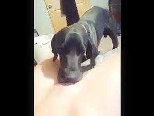 Teen licked by Dog