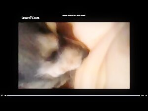 Femme et Chien: Une Rencontre Interdite
