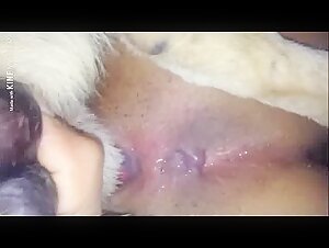 Woman and her dog: a story of bestiality