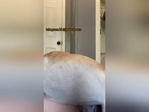 Mom dog fucks a pregnant bitch