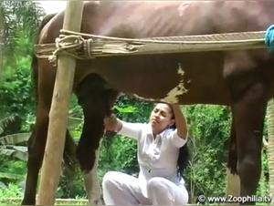 Cat exploitation: Black milf lets herself be fucked by horse