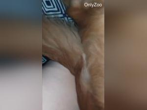 Dog Sex Fated Home Fated: Insaziabile desiderio