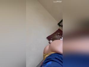 soumission blonde chien sexe intensif