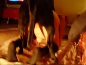 Milly's throbbing pussy gets pounded by her Golden Retriever