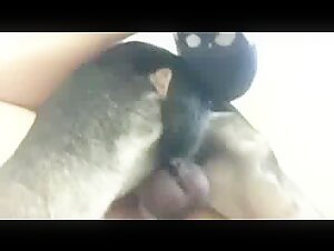 Verbotene Freuden: eine Frau und ihr Hund