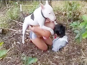 In the forest with a Pitbull