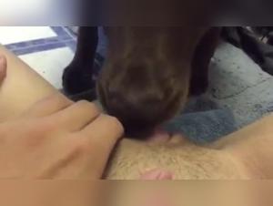 Canine Clitoris Lick : Animalistic Pleasure Explosion