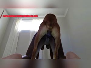 Scopare una Harley Quinn: la troia scopa con il suo cane