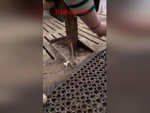 Stained Tights: Erect Pig, Chinese Woman Pleasuring
