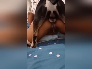 orgasmes Animaux Sauvages