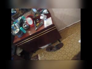 Bestialische Freuden: Hundeficken und intensive Orgasmen