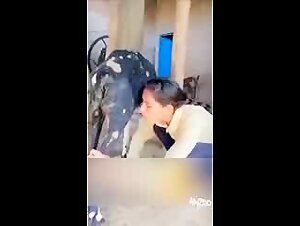 Fucking mon chien : une expérience sensorielle unique