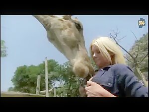 Riley Steele und die Giraffe: Eine tierische Begegnung