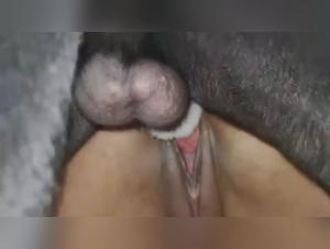 Extreme Zoophilia: Dog Devours a Woman's Pleasure