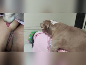 Challenge the limits: Hardcore dog-woman compilation 98/144